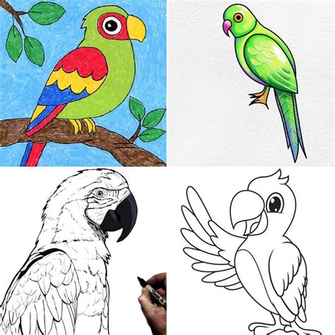 Image result for How to Draw Simple Parrot