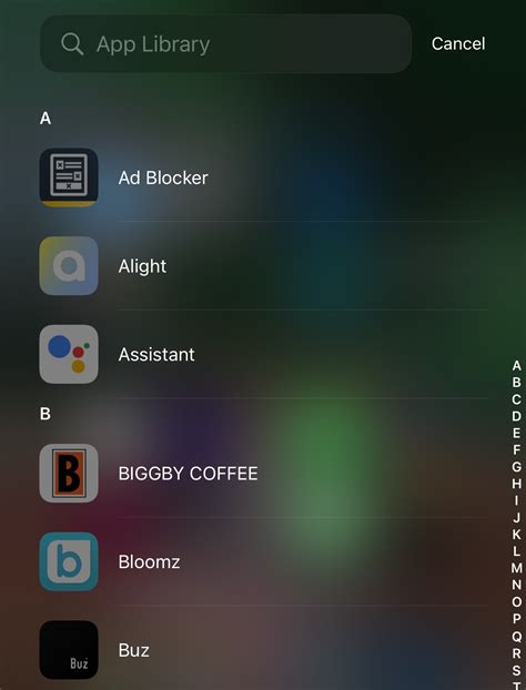 Apple Store Installation 的图像结果