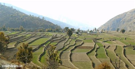 Nag Tibba Village Stay - Uttarakhand 2025 | TrailHikers®
