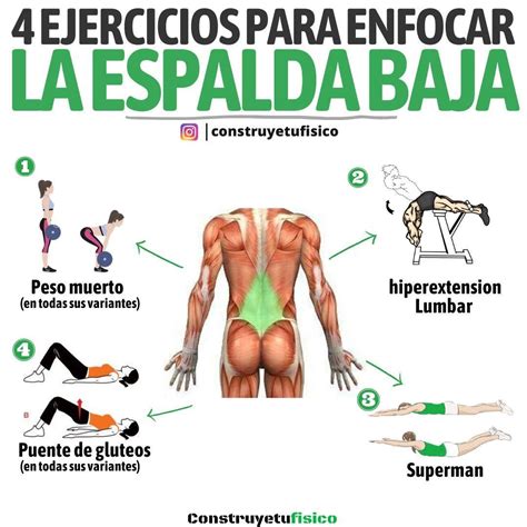 Ejercicios Para Los Músculos De La Espalda Baja Cómo Aliviar El