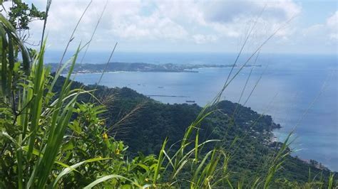 Wondering Soles Grenada (St. George's) - All You Need to Know BEFORE You Go