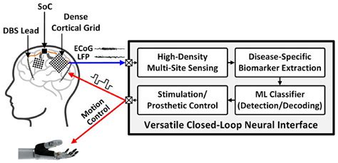 Neural Interface 的图像结果