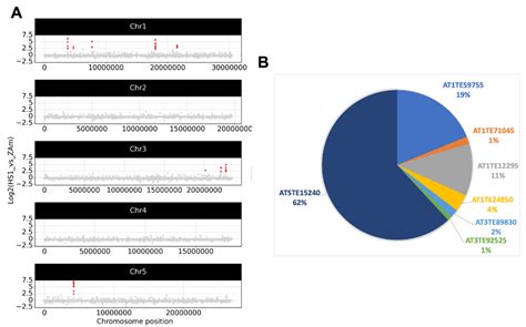 Composition and Structure of Arabidopsis thaliana Extrachromosomal ...