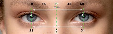 Pupillary Distance How To Measure Your PD Zenni Optical, 49% OFF