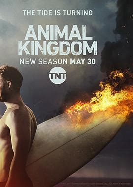 《野兽家族 第二季》全集/Animal Kingdom Season 2在线观看 | 91美剧网