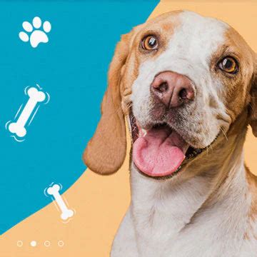 Virbac Milpro Dewormer Tablets for Cats (Above 2 kg) – Snoopytail