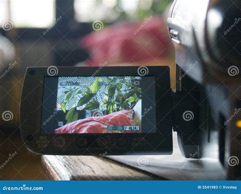 Digital Camera LCD Screen 的图像结果