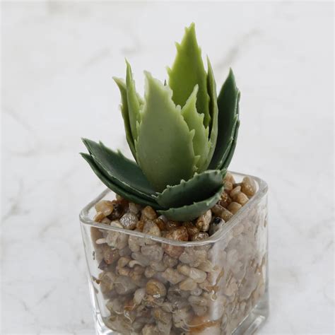 Buy Gardenia Artificial Succulent in Glass Pot from Home Centre at just ...