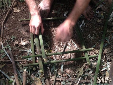 Primitive Spring Trap 的图像结果