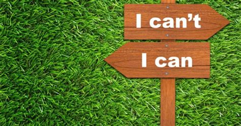 Fixed Mindset Examples 的图像结果