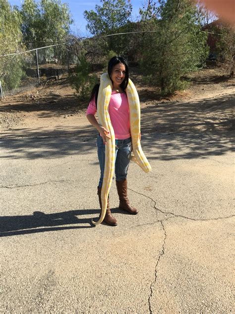 Image result for Burmese Python Cute