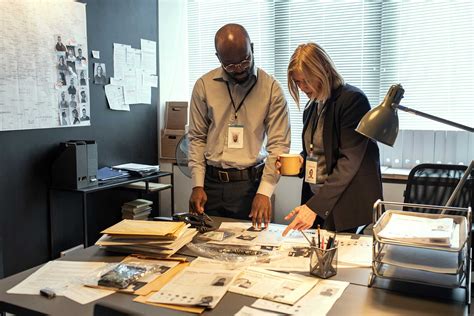 Discover Fraud Investigator Jobs You Can Earn With an MS in Criminal Justice