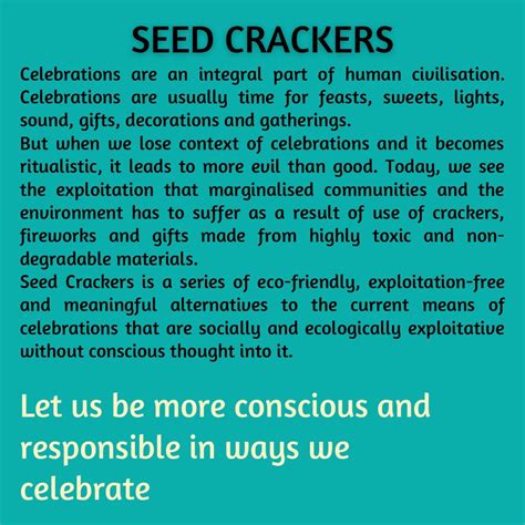 Kezevel Handcrafted Plantable Seed Cracker Gift Box - Set of 4 Seed ...