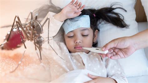 Hermina Hospitals | Recognize the Early Symptoms of Dengue Fever and