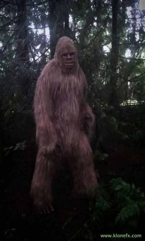 Image result for Bigfoot Found Alive