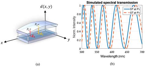 Fast Method for Liquid Crystal Cell Spatial Variations Estimation Based ...