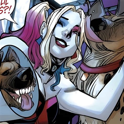 Harley Quinn Pfp