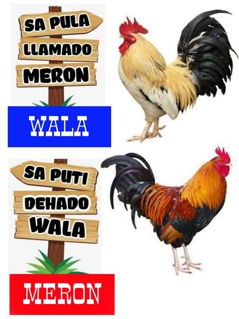 AMBIL SEKARANG