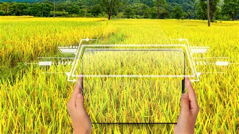 Agriculture Ppt Background 的图像结果