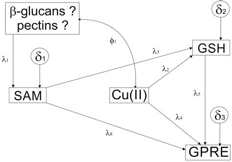Metabolomic Changes as Key Factors of Green Plant Regeneration ...