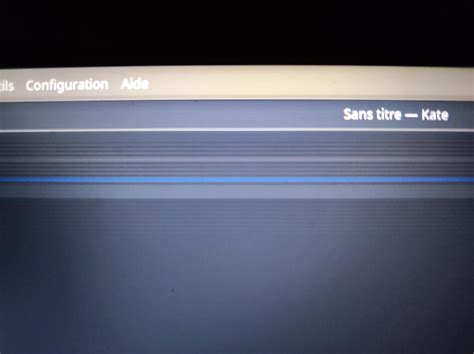Computer possessed by the demon (Lines on screen) : r/AcerNitro
