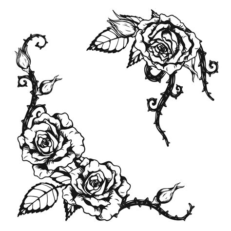 Rose Vine Tattoos Outline