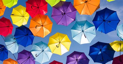 Cultural Identity 的图像结果