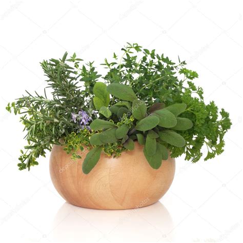 Parsley Sage Rosemary and Thyme Herbs Stock Photo by ©marilyna 3526282