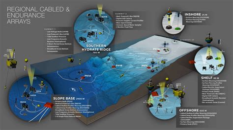 Image result for Dynamic Array Cable