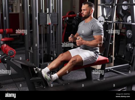 Row Pulley Machine 的图像结果