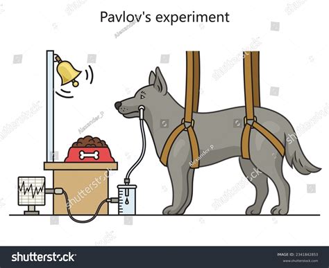 29 Classical Conditioning Dog Experiment Images, Stock Photos & Vectors | Shutterstock