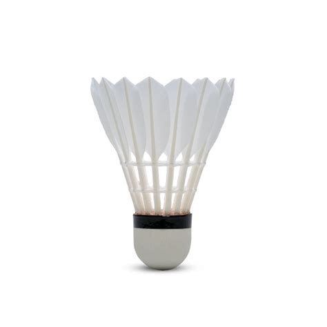 Hundred F8 Feather Shuttlecock – Hundred India