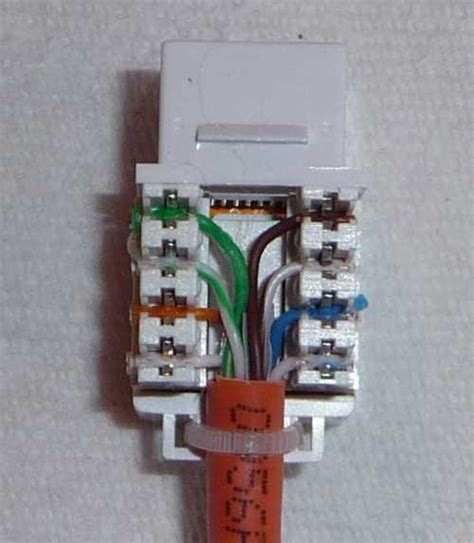 Image result for RJ45 Socket Installation