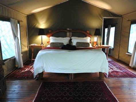 BLACK LEOPARD CAMP (Lydenburg, Mpumalanga, South Africa) - Lodge ...