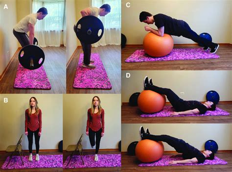 10 Examples of Exercise 的图像结果