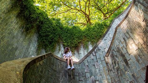 Wallpaper girl, architecture, stairs, bottom view, trees hd, picture, image