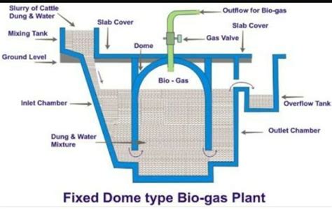 daigram of biogas plant class 10th - Brainly.in
