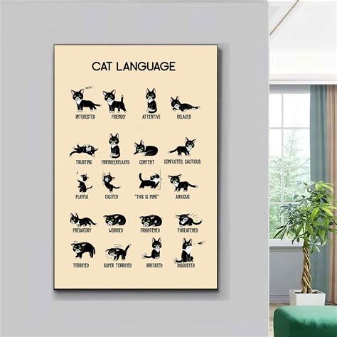 Image result for Cat Language