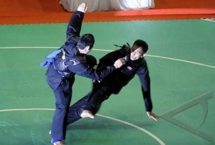 Image result for Silat Boxing