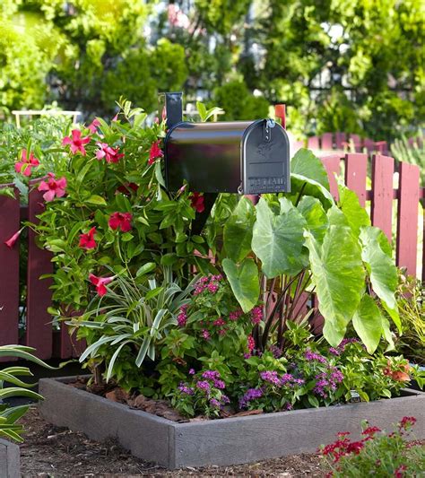 27 Modern Mailbox Flower Bed Ideas To Boost Your Curb Appeal