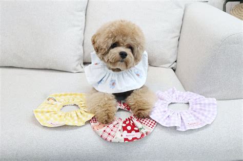 即納【mochichi】シュシュケープ《Blue》 | haneulpet