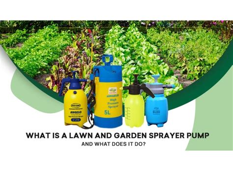 What is a Lawn and Garden Sprayer Pump and What Does it Do