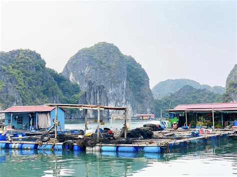 A visit to Vietnam’s 7,000-year-old fishing village