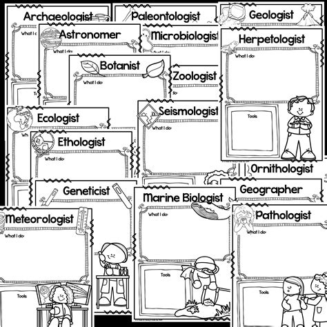 Types of Scientists Graphic Organizer | Made By Teachers