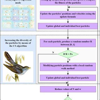 Image result for Optimation Algorithm