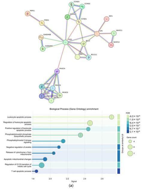 Transcriptomic Profile of Oral Cancer Lesions: A Proof-of-Concept Pilot ...