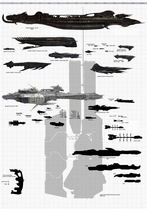 Ship Size Comparison | Star Citizen