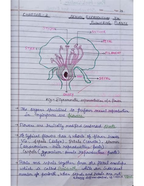 Image result for Bio Chapter 2 Class 12