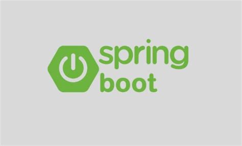 Image result for Spring Boot REST API Logo