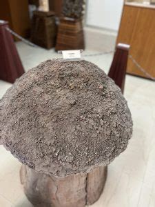 Burial Urns, Stone Slab and Kudakkallu - MG School of Social Sciences ...